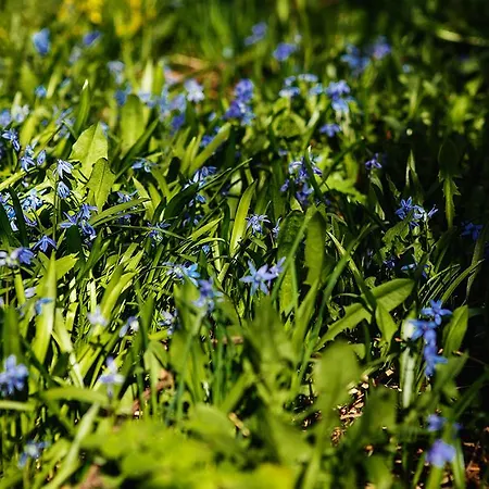 Fireman Center 2* Saari (South Karelia)